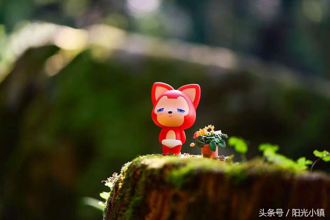 深度解析女人心里她需要什么,怎么才懂女人了解女人