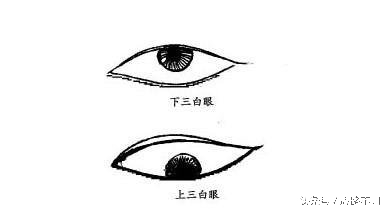 怎么才能看出你眼睛是哪种眼型,看看你是什么眼型