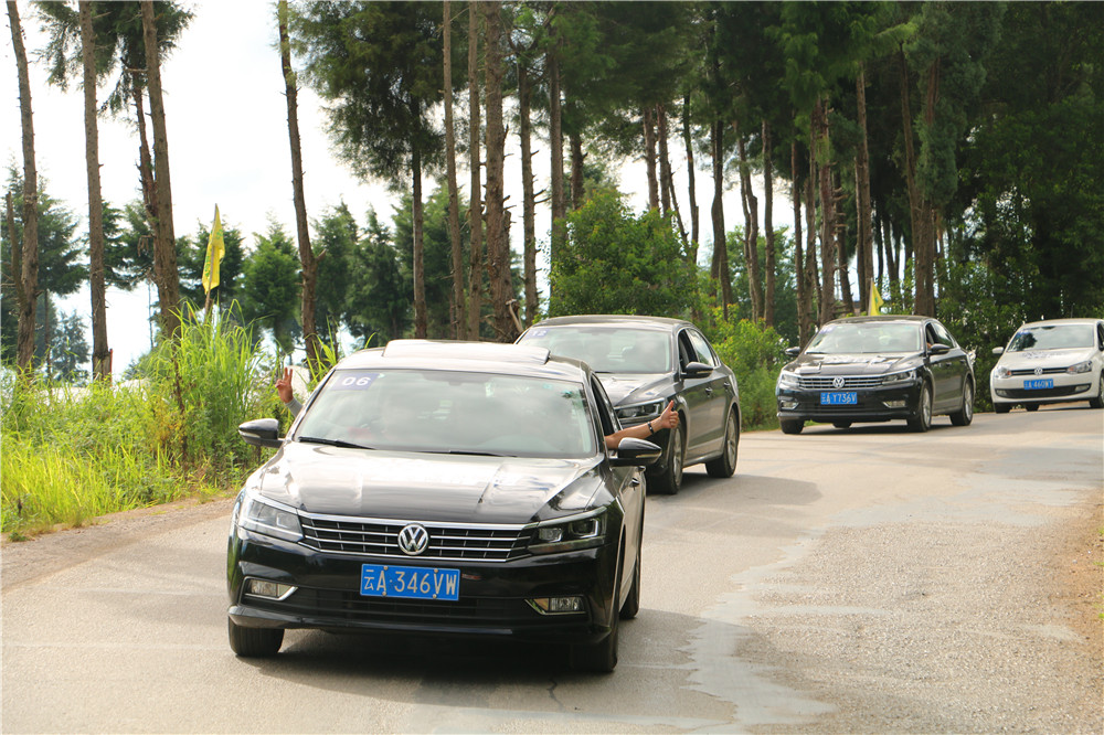 *萨特帕**一场与荷花无法拒绝的浪漫之旅
