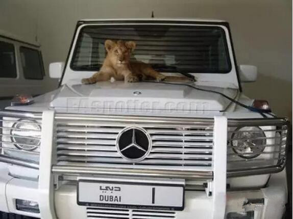 迪拜最贵的车竟然是这辆，就算王思聪那么有钱也买不到它一个牌！