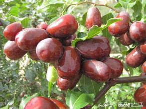 大便解不出来是不是痔疮原因,饮食清淡大便稀不成型痔疮