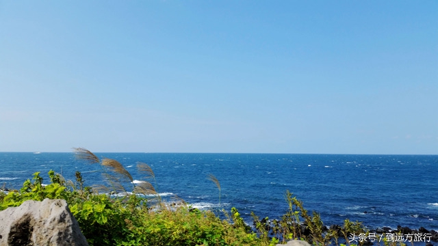 独自去济州岛攻略,独自一人去韩国旅游