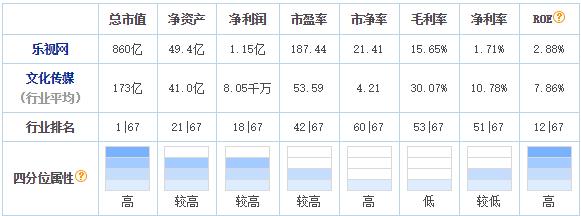 乐视是哪个家族的企业,乐视是什么公司