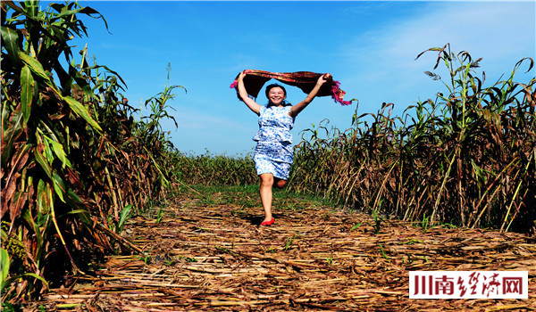 泸州人家红高粱,泸州红高粱38度价格