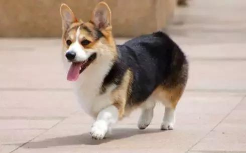 uber滴滴大战,滴滴与uber并购案例分析