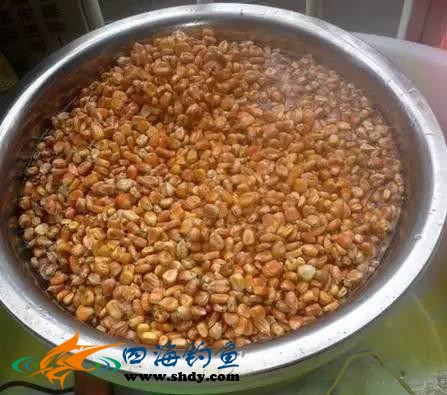 夏天浮钓草鱼必备窝料，专门对付滑鱼！