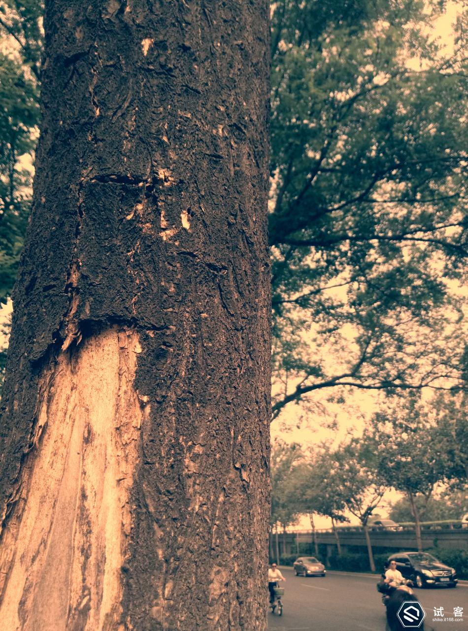 魅蓝3青年良品参数,魅蓝3s标准版评测