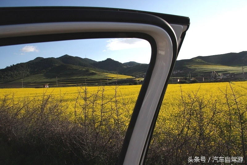 洛克之路卓尼段是从哪到哪,洛克之路路过卓尼县吗