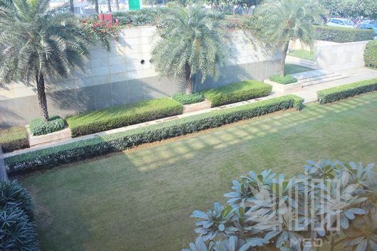 印度的医疗技术世界排名第几,印度和中国医院对比