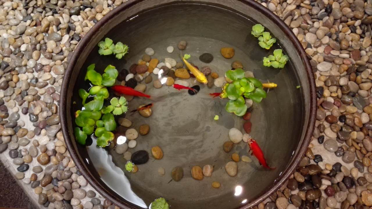 北京百强中学最新排名,北京市重点中学排名一览表最新版