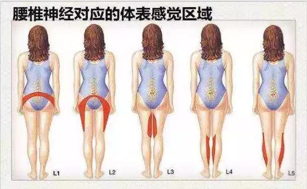 医生看颈椎病的图片,颈椎胸椎腰椎尾椎图解全图