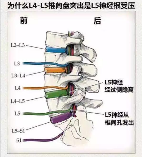 医生看颈椎病的图片,颈椎胸椎腰椎尾椎图解全图