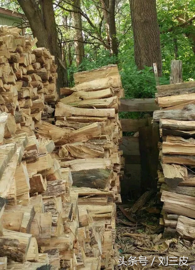 李晨眼睛睡肿了是哪一期,李晨黑匣子