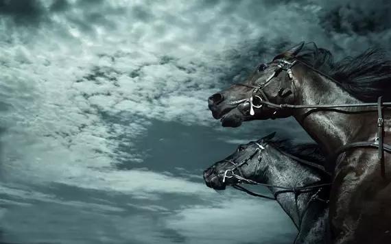 oppor9手机值得买吗,oppor9现在还值得入手吗