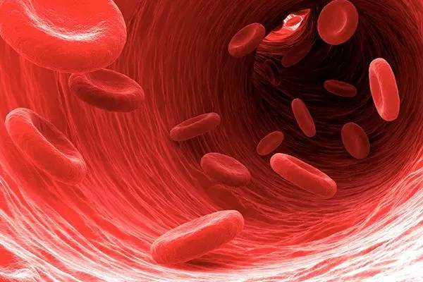 血粘和血稠有什么区别,血粘好治吗