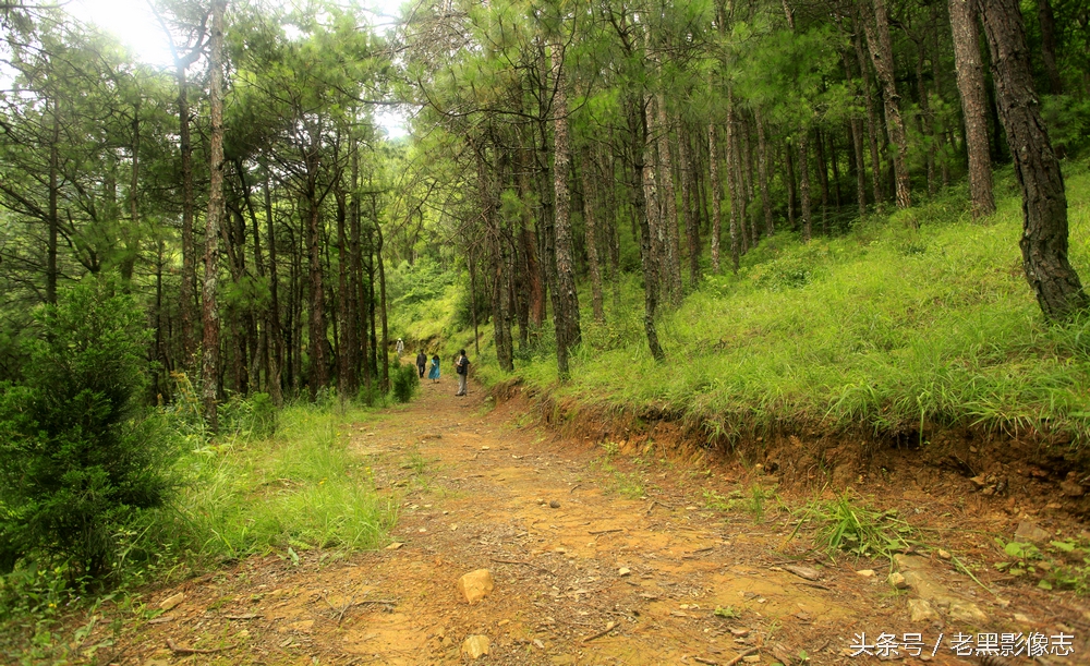 苍山西坡莲花峰,大理苍山秘境在哪里