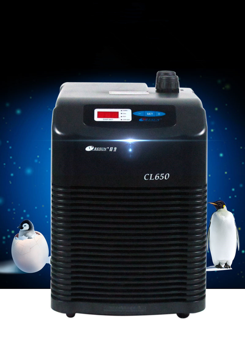 为了降温,东海人什么事情都做得出来