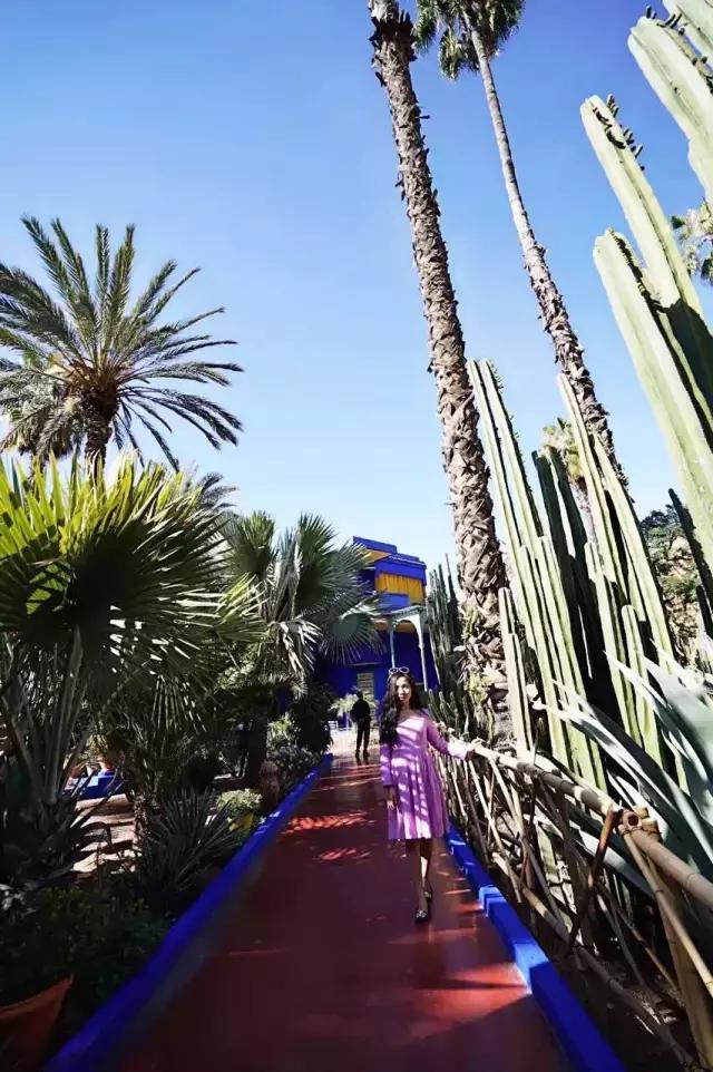 三毛撒哈拉的经典语录,三毛撒哈拉经典语录