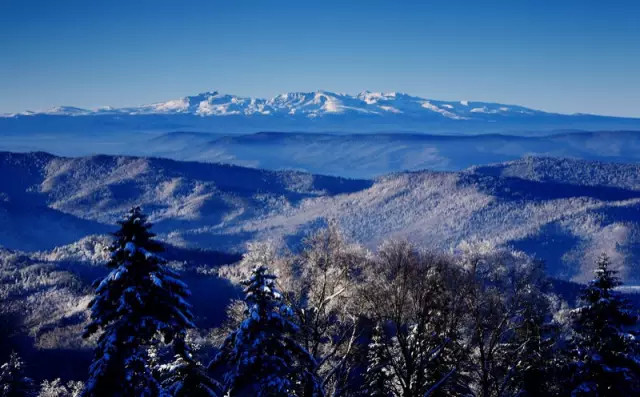 盗墓笔记最详细的豆瓣评论,盗墓笔记书名评分
