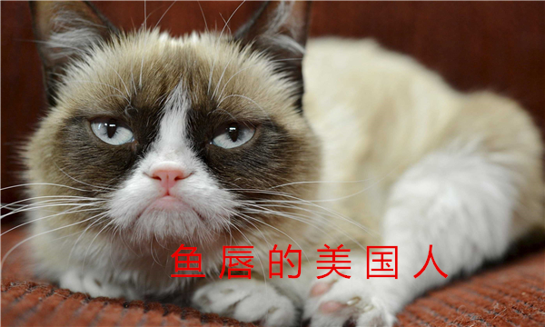 常见乳制品,生活常识乳制品的小知识