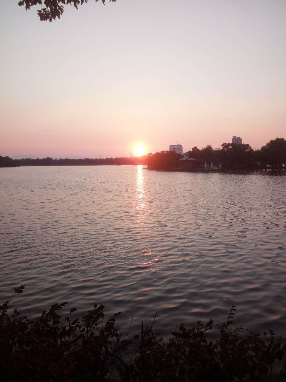 这么热的天大家都去哪玩,这么热的天大家都在干什么