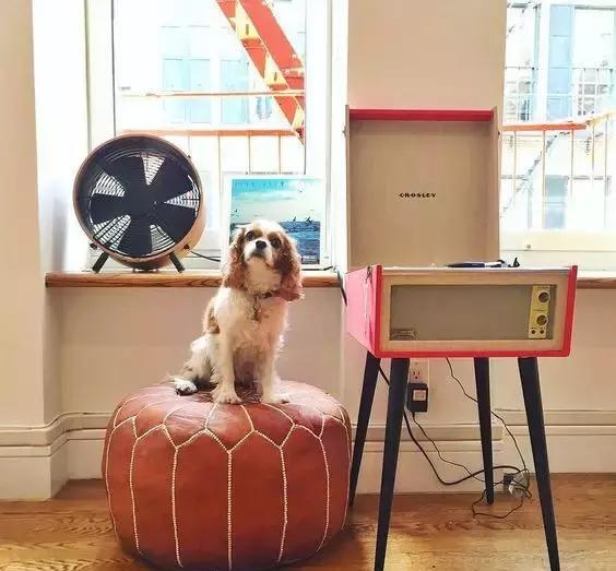 深挖寺库42件美好单品,我知道你想有点酷,但又怕太出格!