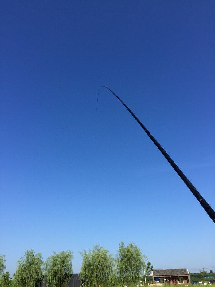 亮片跳底钓鳜鱼,一线多钩钓鳜鱼