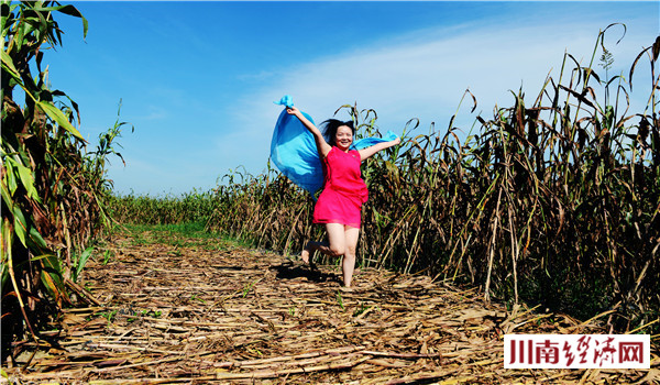 泸州人家红高粱,泸州红高粱38度价格