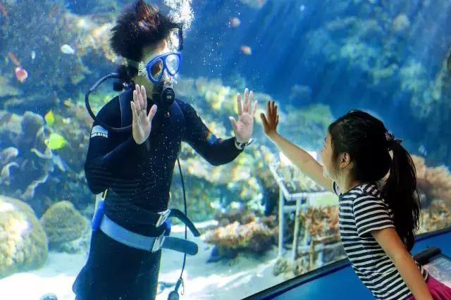 吃石恒牛肉，逛美军基地——日本冲绳就要这样玩！