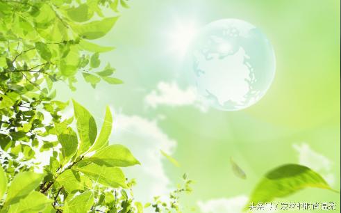 头发掉得厉害是什么原因怎么治,经常掉头发且头发掉得多的原因