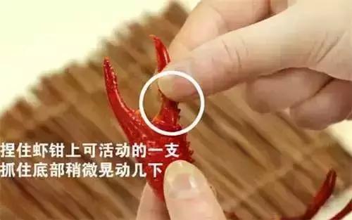 赵丽颖小龙虾夹肉,赵丽颖采访心心念念小龙虾