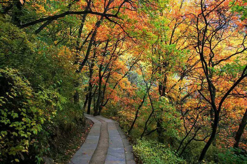 保定十大臭名景点排名,保定必去的十大旅游地