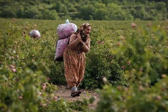 日韩高颜值化妆品,日韩高档化妆品品牌