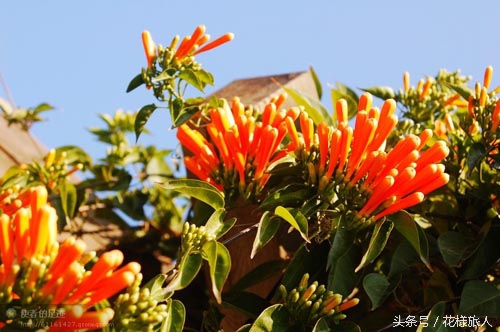 这座小岛群山环绕,海上最美小岛