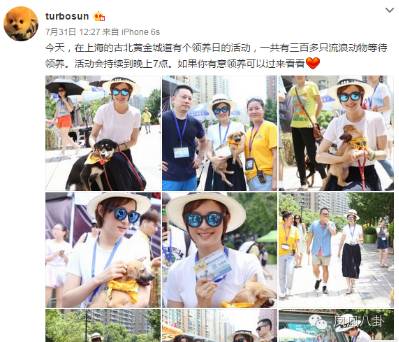 孙俪携等等小花首次齐亮相,孙俪带等等小花义卖