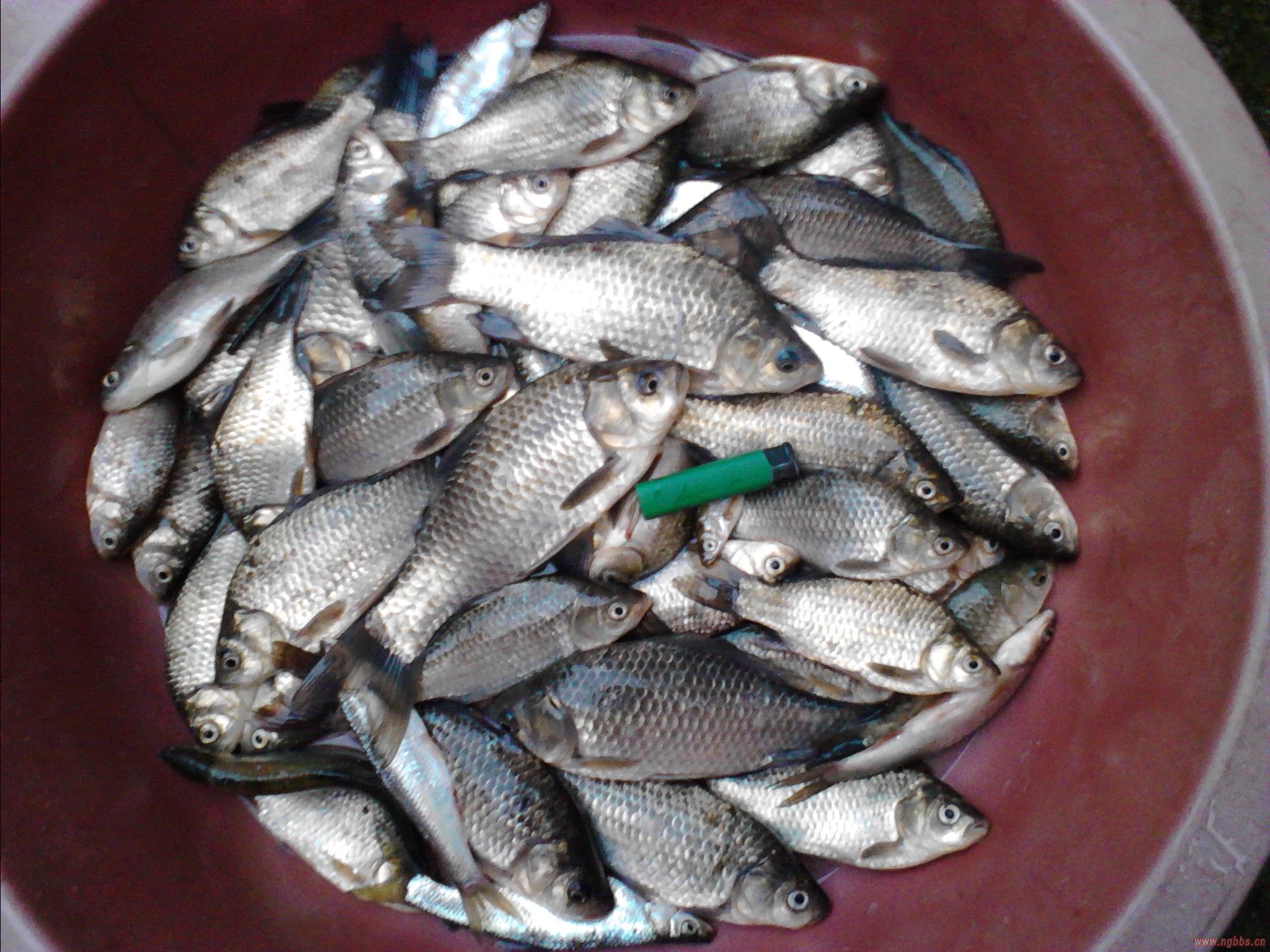 奶爸的幸福生活后续小说,奶爸的幸福电视剧全集在线观看