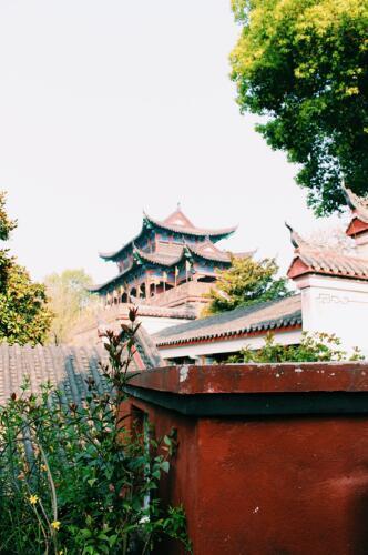 武汉长江四日游攻略路线,清明去武汉旅游攻略一日游