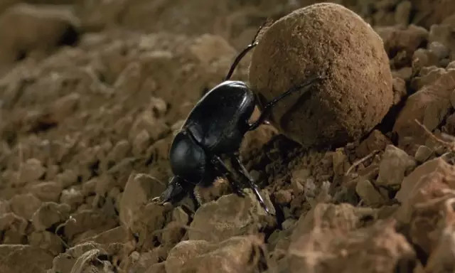 盗墓笔记最详细的豆瓣评论,盗墓笔记书名评分