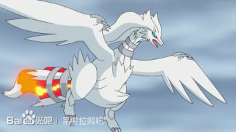 宠物小精灵体型最大的龙系神兽,宠物小精灵龙系精灵