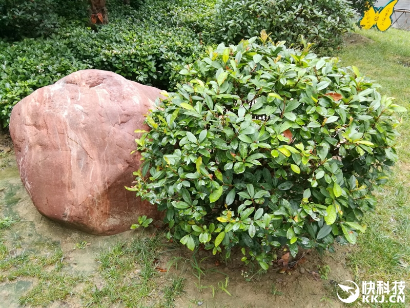 荣耀note8支持256g吗,荣耀6.5英寸高端机