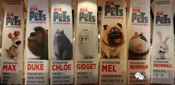 爱宠大机密和宠物大机密,疯狂动物城爱宠大机密