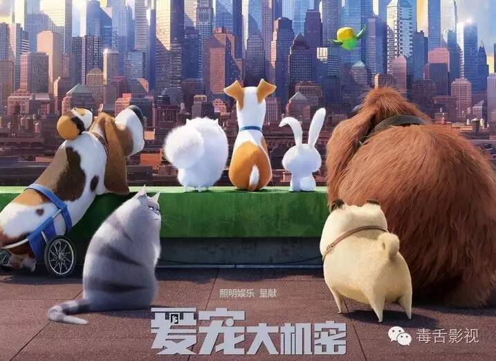 爱宠大机密和宠物大机密,疯狂动物城爱宠大机密