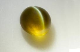 中国地质博物馆百年，这30件藏品亮瞎你的双眼