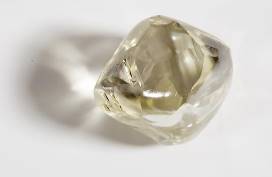 中国地质博物馆百年，这30件藏品亮瞎你的双眼