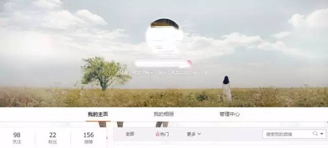 自媒体大事件,网红大v的猫狗