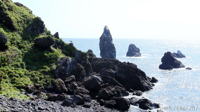 独自去济州岛攻略,独自一人去韩国旅游