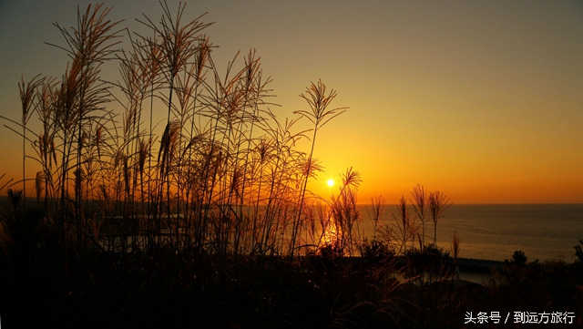 独自去济州岛攻略,独自一人去韩国旅游