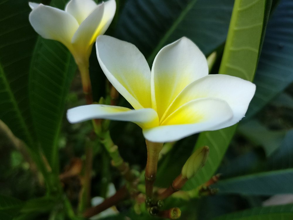 年轻,就该换个姿势——骑着麒麟区体验华为