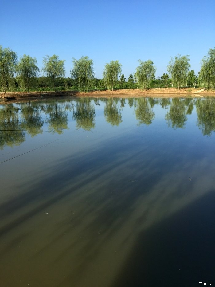 亮片跳底钓鳜鱼,一线多钩钓鳜鱼