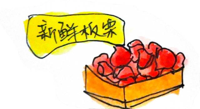 韩国济州岛旅游图片大全,济州岛手绘